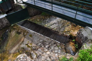 1.5 Opere di presa sul torrente Lora, a pochi metri di distanza dalla centrale Gazza (2)